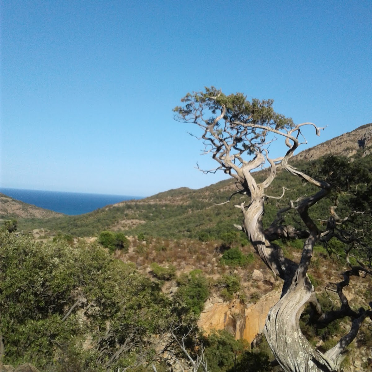 Foto Is Piscinas